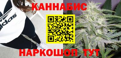 стафф Пенза