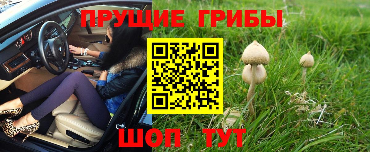 Галлюциногенные грибы прущие грибы  Вход с VPN  Галлюциногенные грибы MAGIC MUSHROOMS  Удомля 