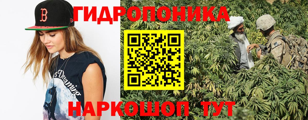 Удомля  Бошки Шишки SATIVA & INDICA  Каннабис сатива  Каннабис тримм  Бошки Шишки план  Вход с VPN 